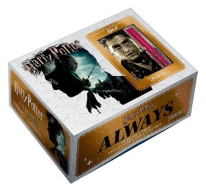 Harry Potter Premium Treasure Box Panini